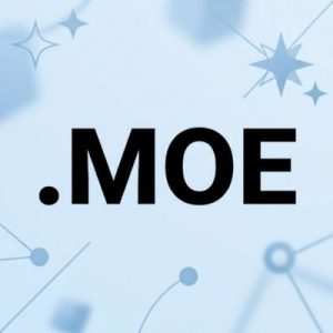 Strong Brand Recognition and Recall for .MOE Domains