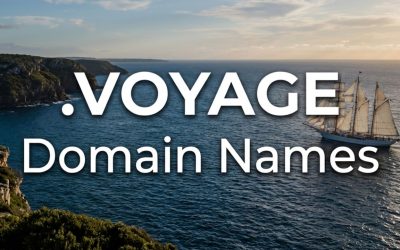 .VOYAGE Domain Names