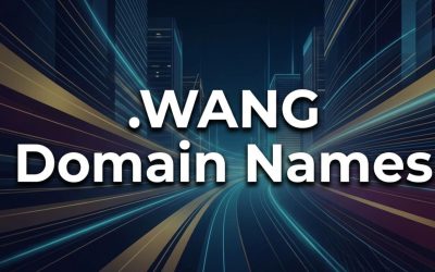 .WANG Domain Names