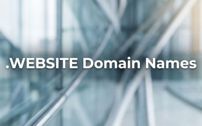 .WEBSITE Domain Names