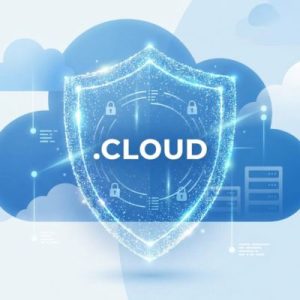 WHOIS Privacy Protection – Keep Your Identity Secure of .CLOUD Domains