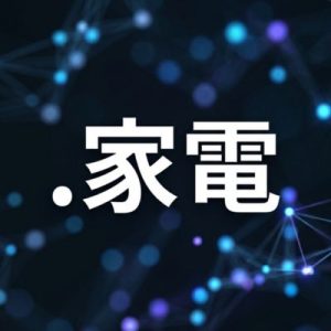 WHOIS Privacy Protection – Keep Your Identity Secure of (.XN--FCT429K) .家電 Domain