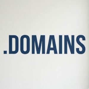 What is a .DOMAINS Domain