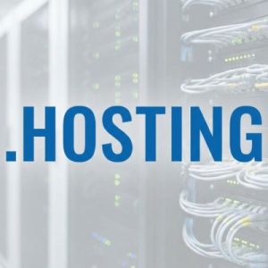 What is a .HOSTING Domain