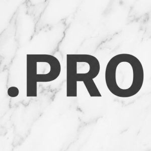 What is a .PRO Domain