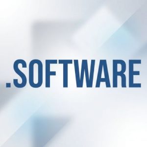 What is a .SOFTWARE Domain