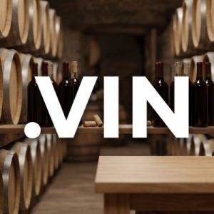 What is a .VIN Domain