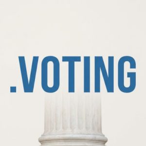 What is a .VOTING Domain