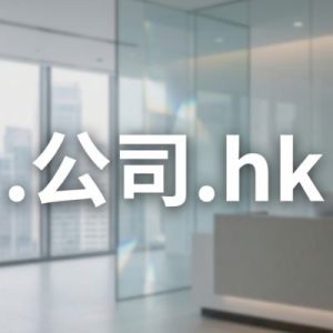 What is a (.XN--55QX5D.HK) .公司.hk Domain?