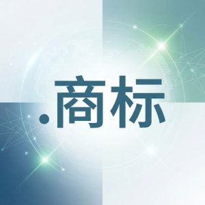 What is a (.XN--CZR694B) .商标 Domain