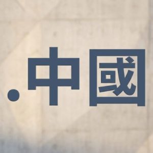 What is a (.XN--FIQZ9S) .中國 Domain?