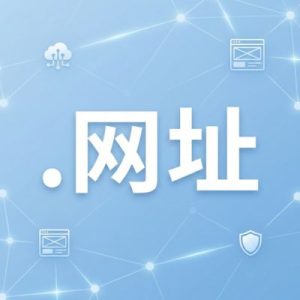 What is a (.XN--SES554G) .网址 Domain