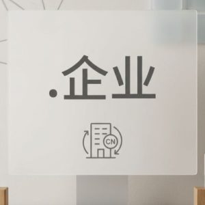 What is a .XN--VHQUV .企业 Domain