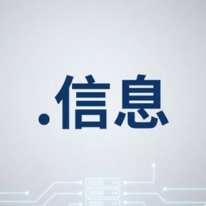 What is a (.XN--VUQ861B) .信息 Domain