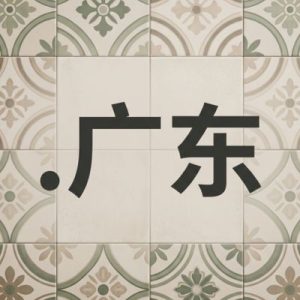 What is a (.XN--XHQ521B) .广东 Domain