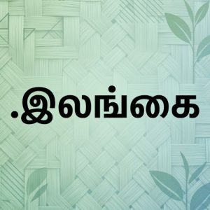 What is a (.XN--XKC2AL3HYE2A) .இலங்கை Domain