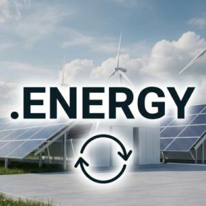 When and Why You Should Renew Your .ENERGY Domain