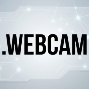 When and Why You Should Renew Your .WEBCAM Domain