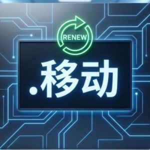When and Why You Should Renew Your (.XN--6FRZ82G) .移动 Domain