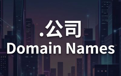 (.XN–55QX5D) .公司 Domain Names