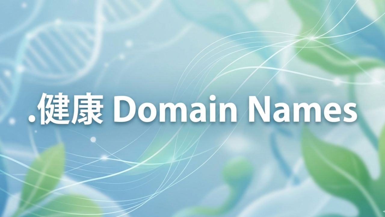 (.XN--NYQY26A) .健康 Domain Names