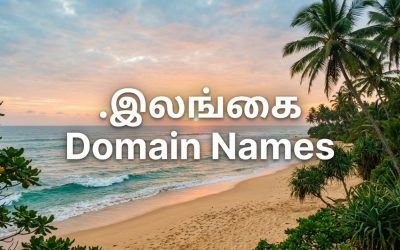 (.XN–XKC2AL3HYE2A) .இலங்கை Domain Names