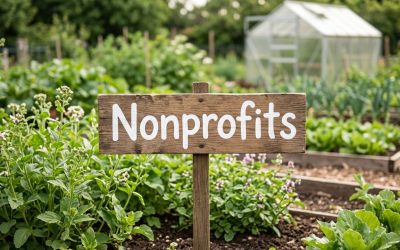 Best Domain Extensions for Nonprofits
