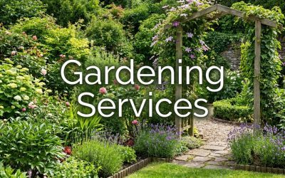 Best Domain Name Extensions For Gardening Services