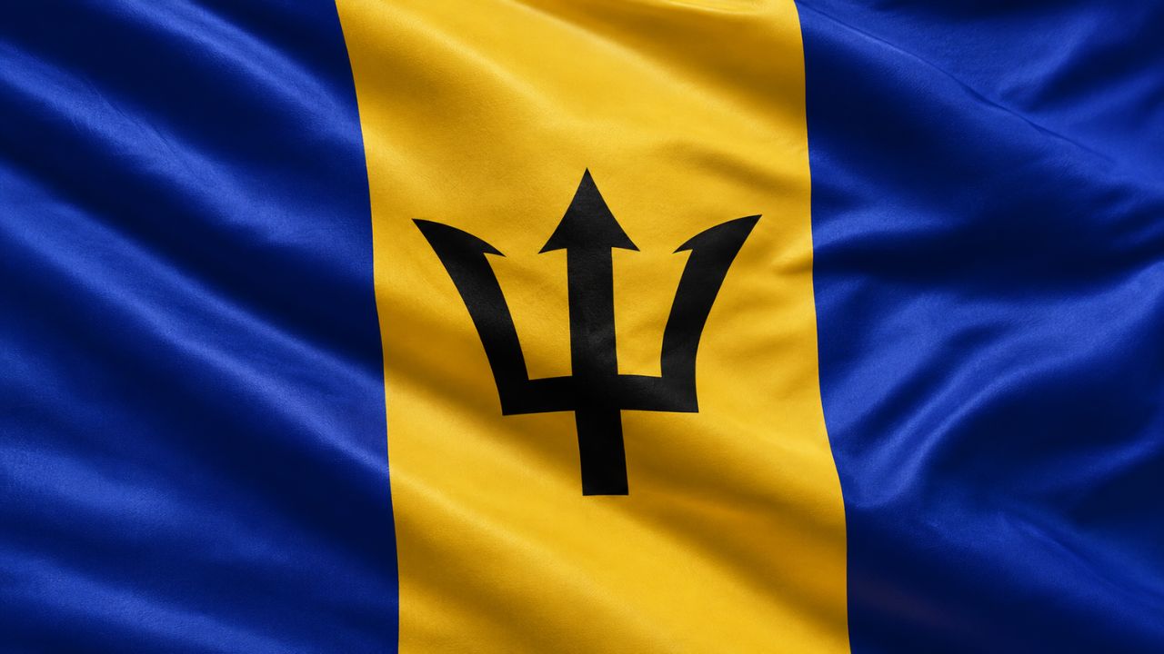 Best Domain Name for Businesses in Barbados Best Domain Name for Businesses in Barbados