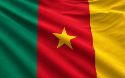 Best Domain Name for Businesses in Cameroon