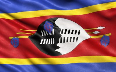 Best Domain Name for Businesses in Eswatini