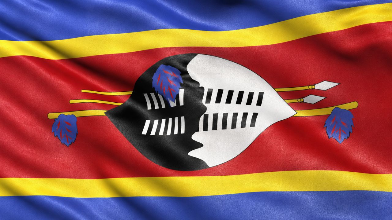 Best Domain Name for Businesses in Eswatini