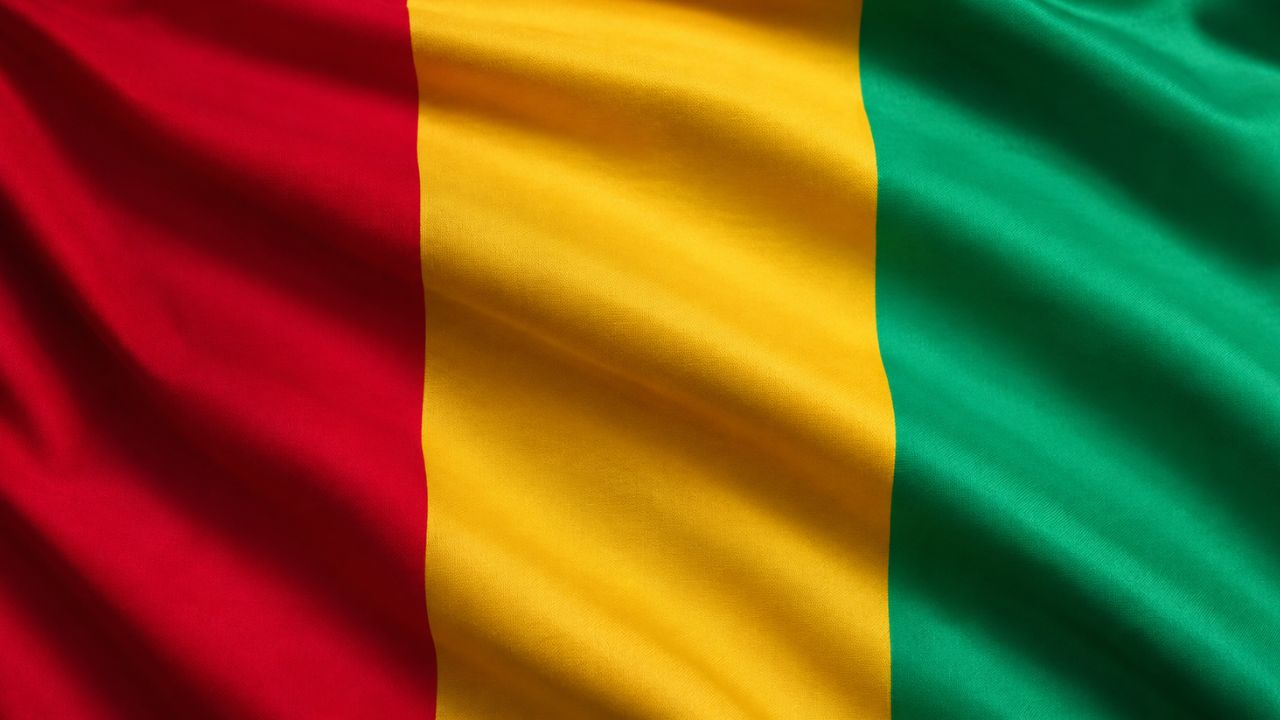 Best Domain Name for Businesses in Guinea Best Domain Name for Businesses in Guinea