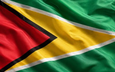 Best Domain Name for Businesses in Guyana