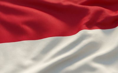 Best Domain Name for Businesses in Indonesia