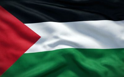 Best Domain Name for Businesses in Palestine