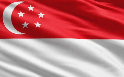 Best Domain Name for Businesses in Singapore
