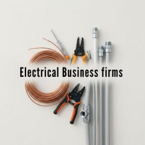 Best domain extensions for service-based Electrical Business firms