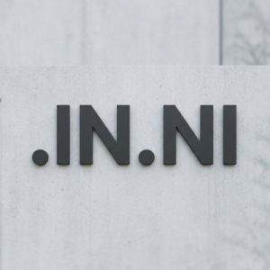 Complete .IN.NI Domain Registration Workflow