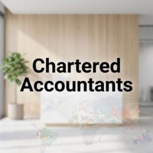 Country-specific domains used by Chartered Accountants' businesses