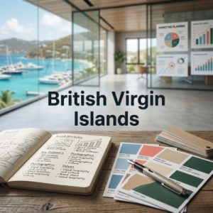 Define your brand and target audience in British Virgin Islands