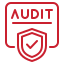 Domain Security Audit
