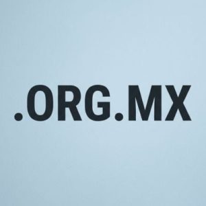 Eligibility Criteria for Registering a .ORG.MX Domain