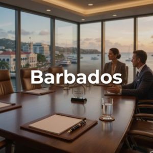 Established businesses – Building authority and scale in Barbados