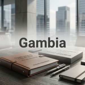 Established businesses – Building authority and scale in Gambia