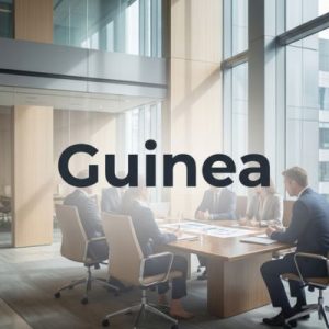 Established businesses – Building authority and scale in Guinea