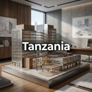 Established businesses – Building authority and scale in Tanzania