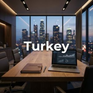 Established businesses – Building authority and scale in Turkey