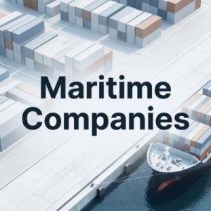 Expert guidance for the Maritime Companies domain selection