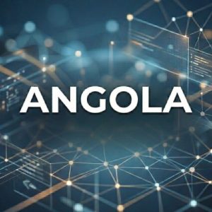 How domain Names influence trust and first impressions-Angola